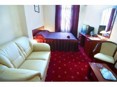 Hotel Ary Cluj Napoca Bagian luar foto