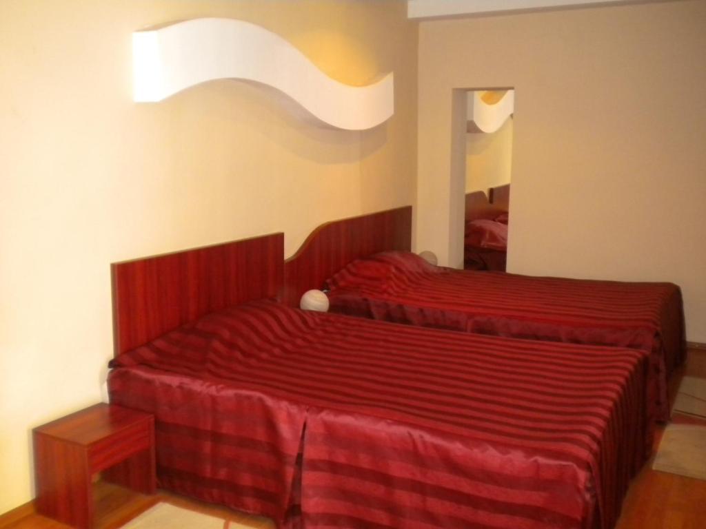 Hotel Ary Cluj Napoca Ruang foto