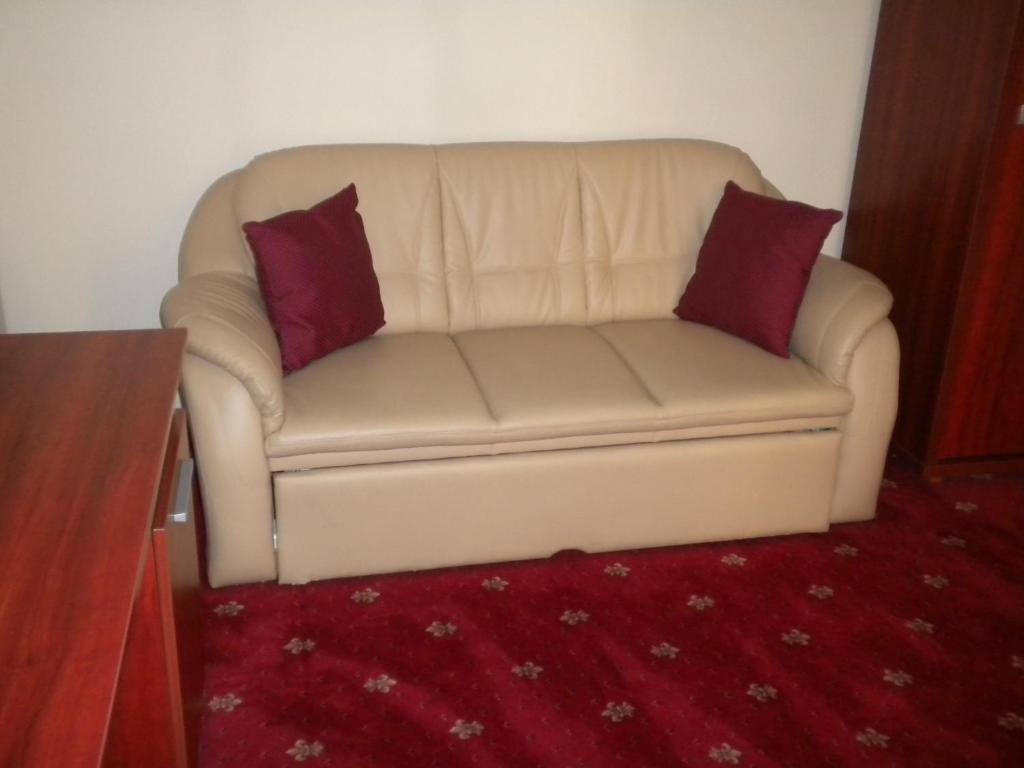 Hotel Ary Cluj Napoca Ruang foto